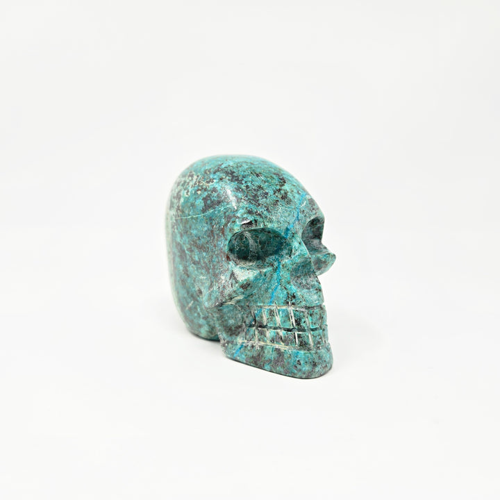 Chrysocolla Skull