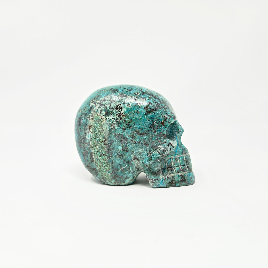 Chrysocolla Skull