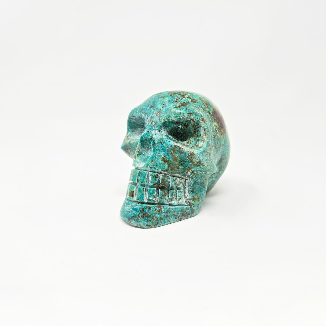 Chrysocolla Skull