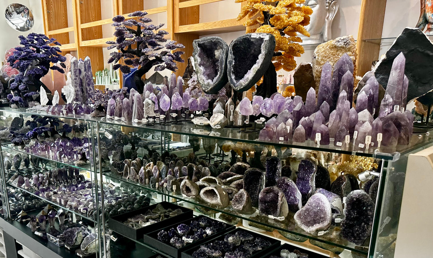Discover the Magic of Eucalyptus & Crystals