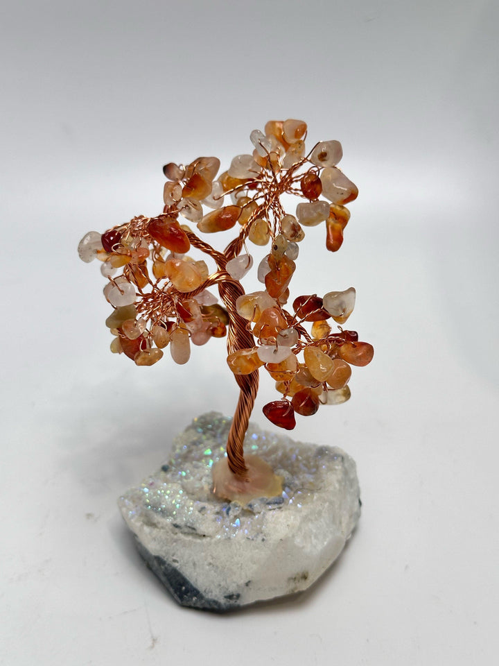 Aura Bonsai Tree - Carnelian : 3" x 6" - The Harmony Store Crystal Shop Miami