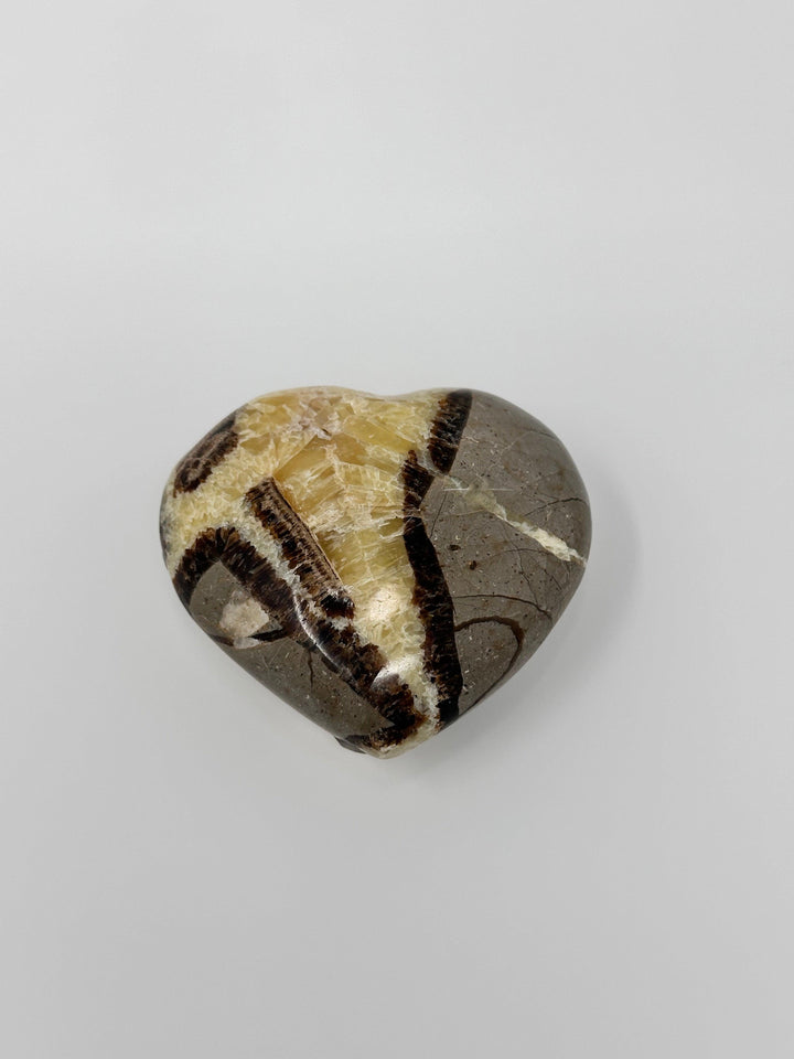 Septarian Heart-Heart : 250 -300 g - The Harmony Store Crystal Shop Miami