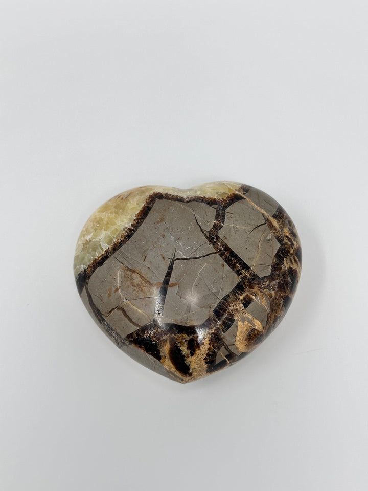 Septarian Heart-Heart : 300 - 350 g - The Harmony Store Crystal Shop Miami