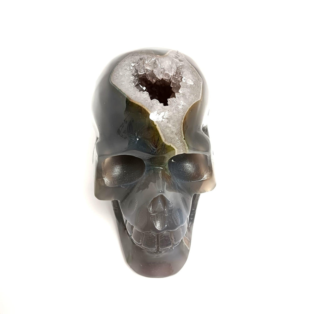 Agate Druzy Skull - The Harmony Store