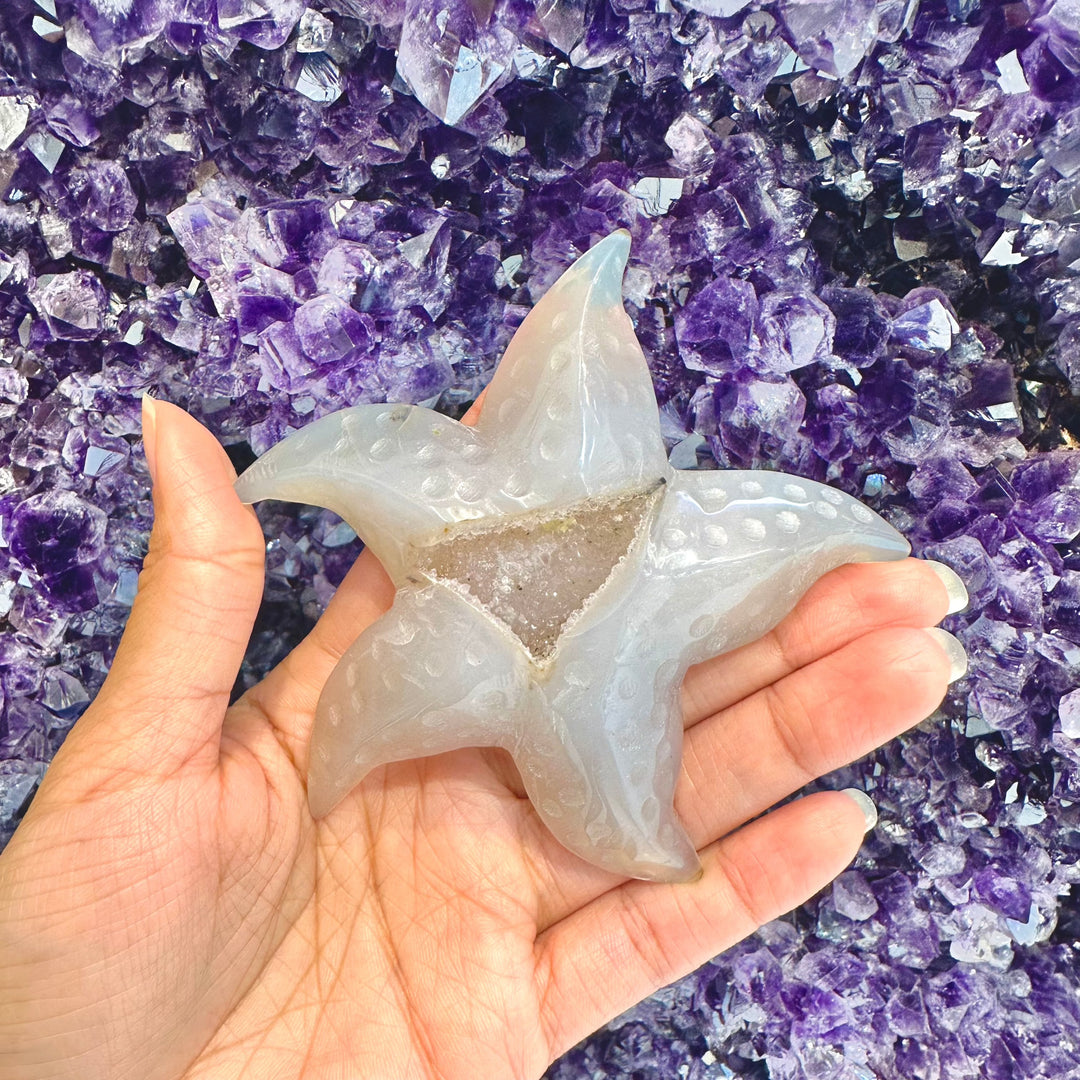 Agate Druzy Starfish : Large - The Harmony Store