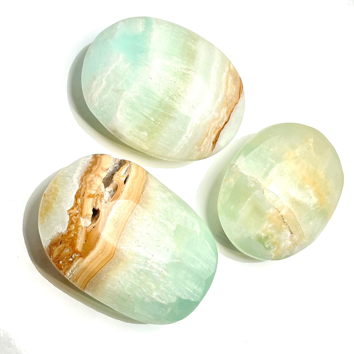 Caribbean Calcite-Palmstone : Palm - The Harmony Store