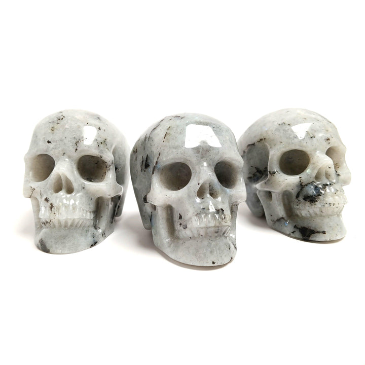 Labradorite Skull - The Harmony Store