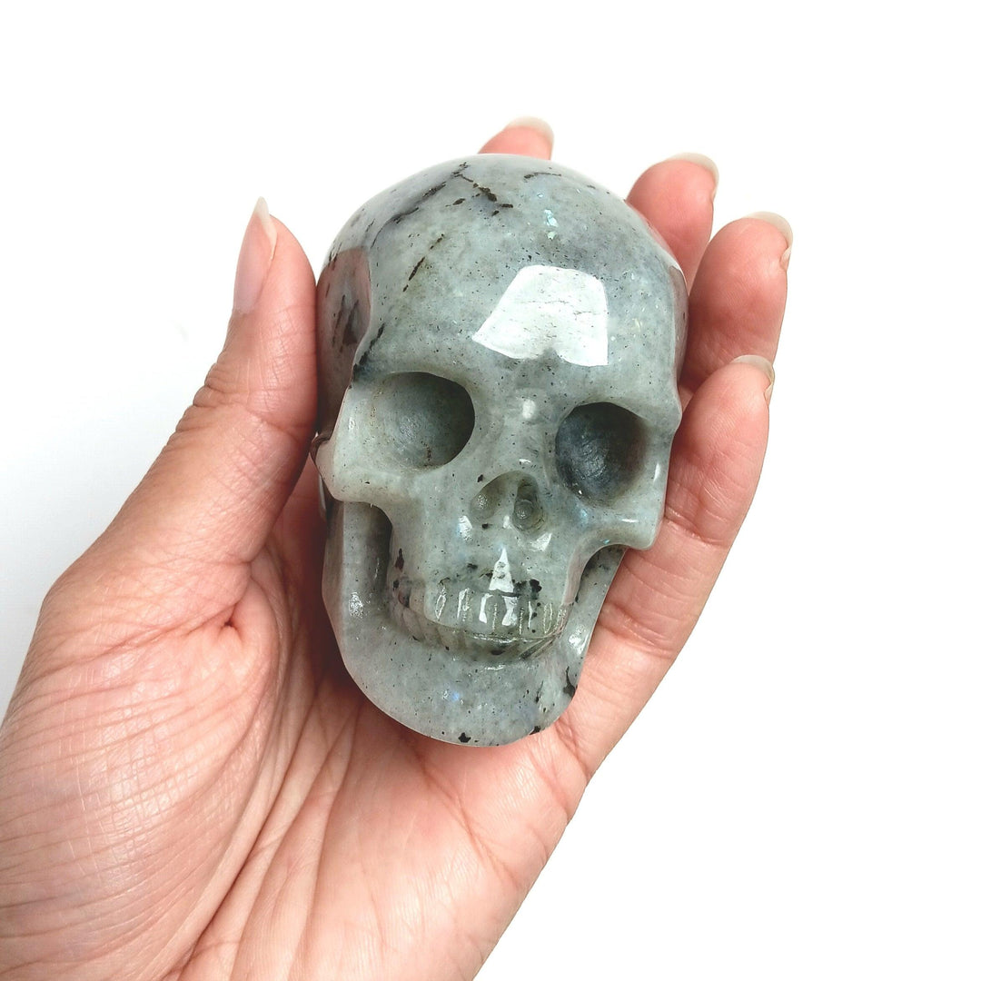 Labradorite Skull - The Harmony Store