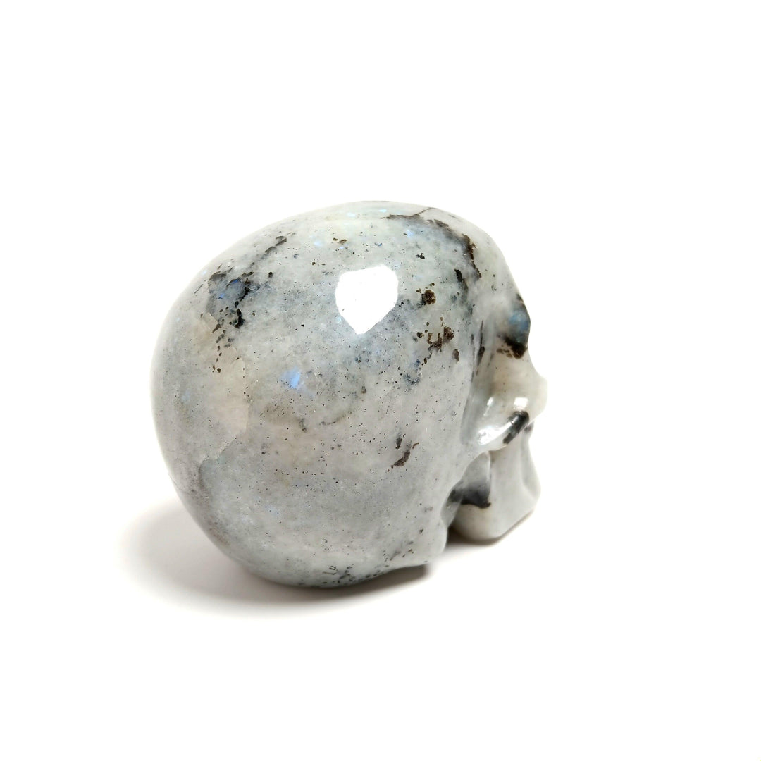 Labradorite Skull - The Harmony Store