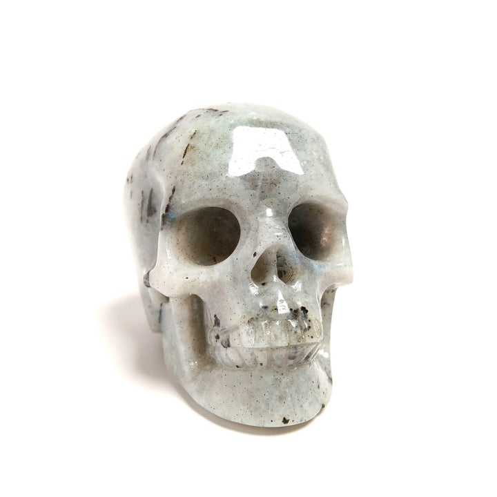 Labradorite Skull - The Harmony Store