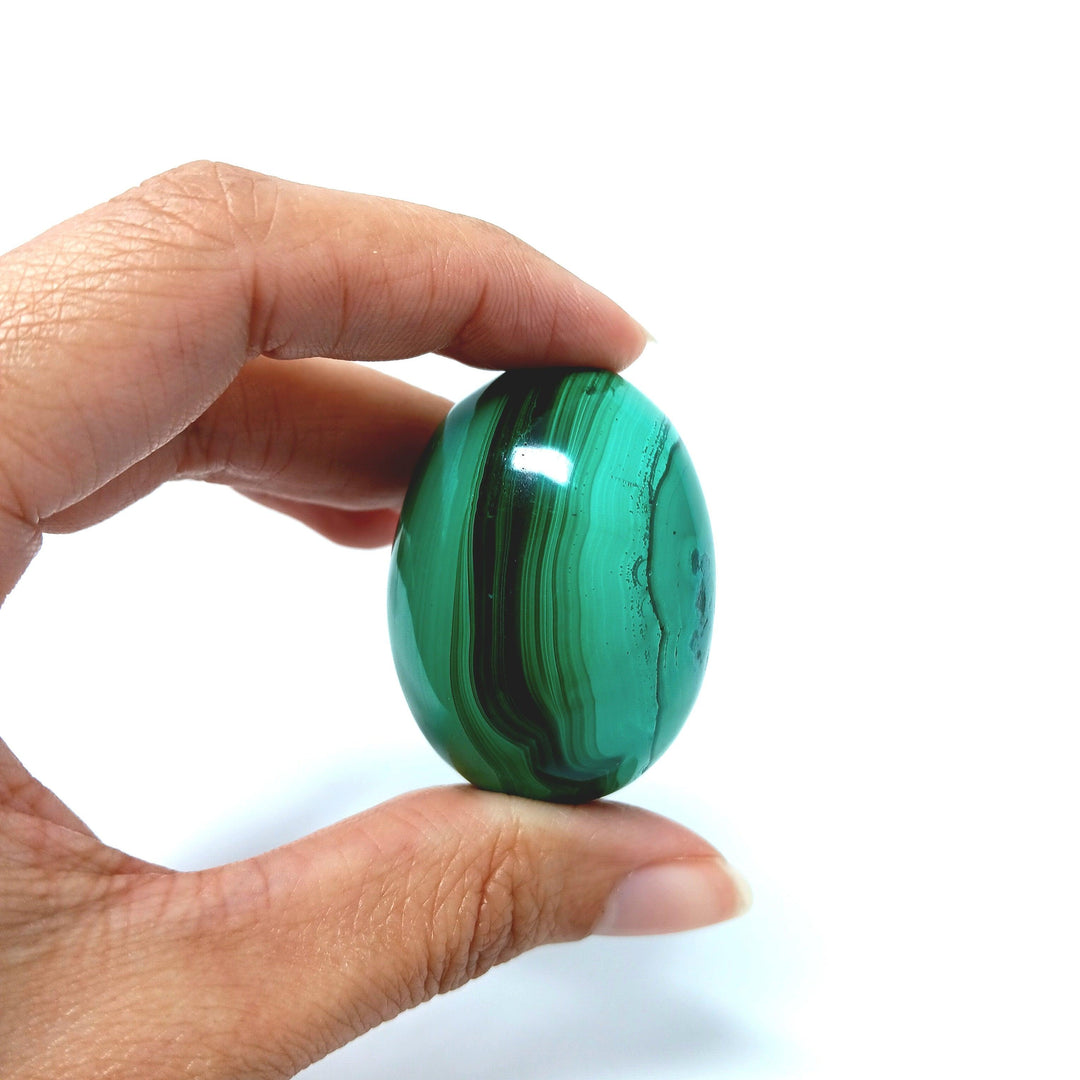 Malachite Egg - The Harmony Store