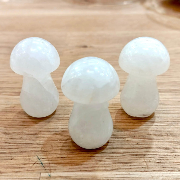 Mushroom-Clear Quartz : 35x17x16 1.5 - The Harmony Store