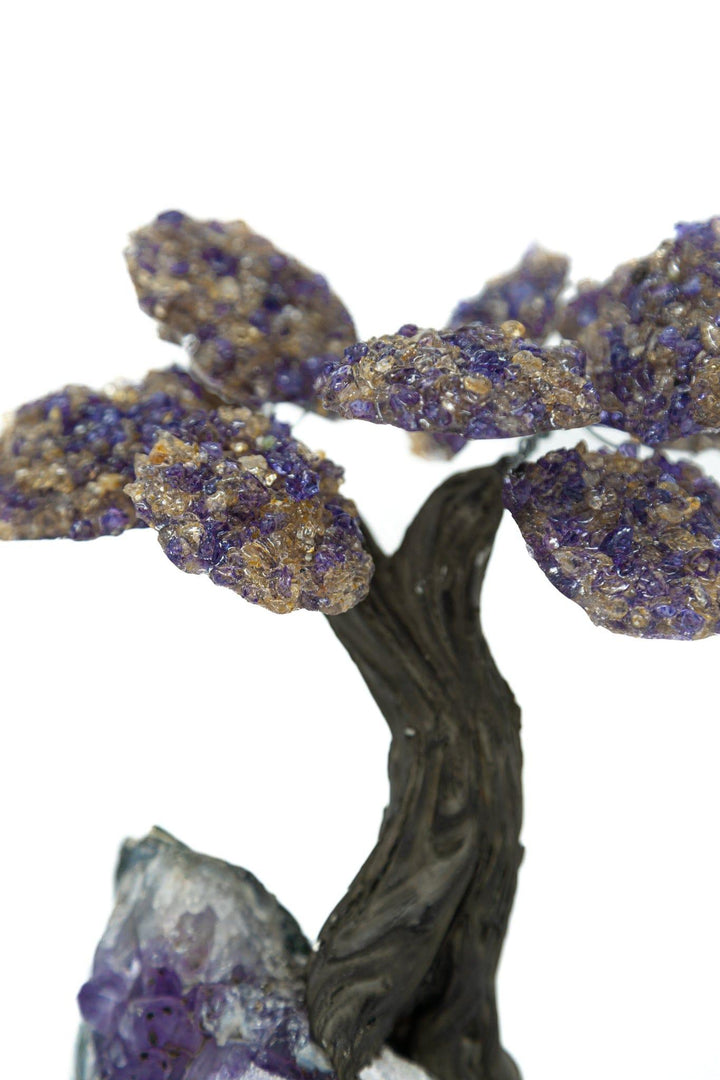 Ametrine 10 Leaf Bonsai Tree Amethyst